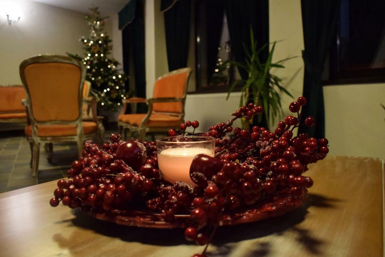 Vila Seva Vatra Dornei Εξωτερικό φωτογραφία