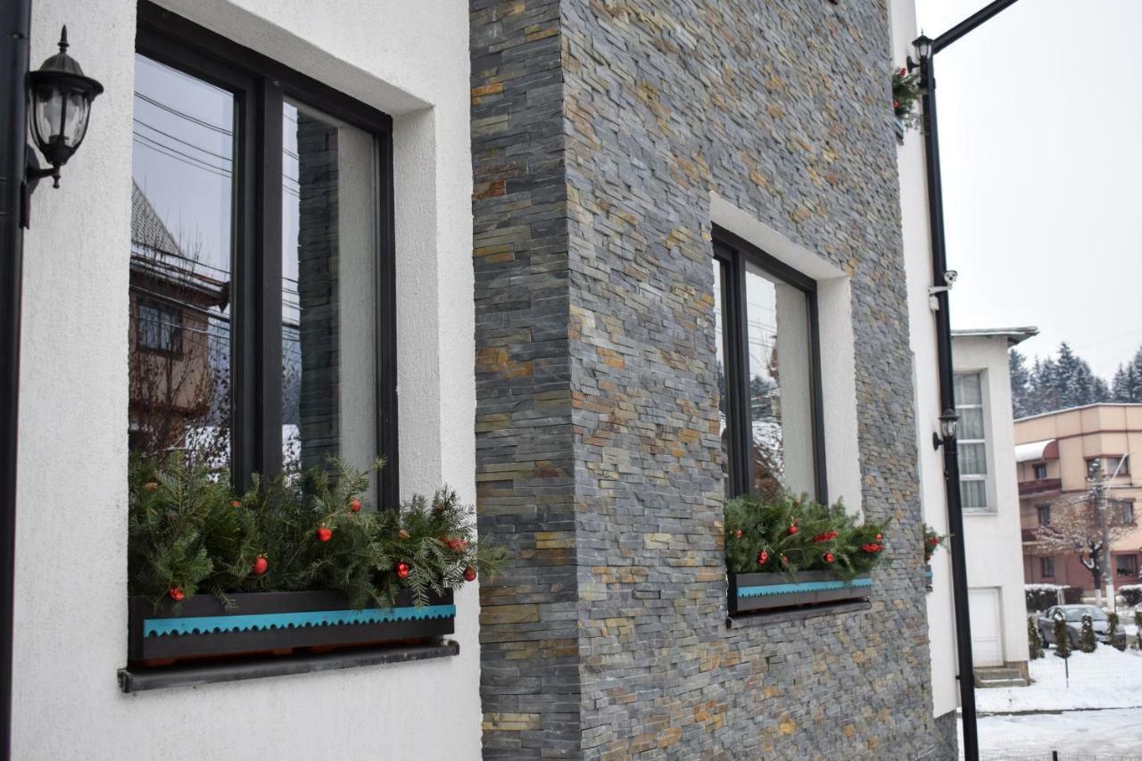 Vila Seva Vatra Dornei Εξωτερικό φωτογραφία