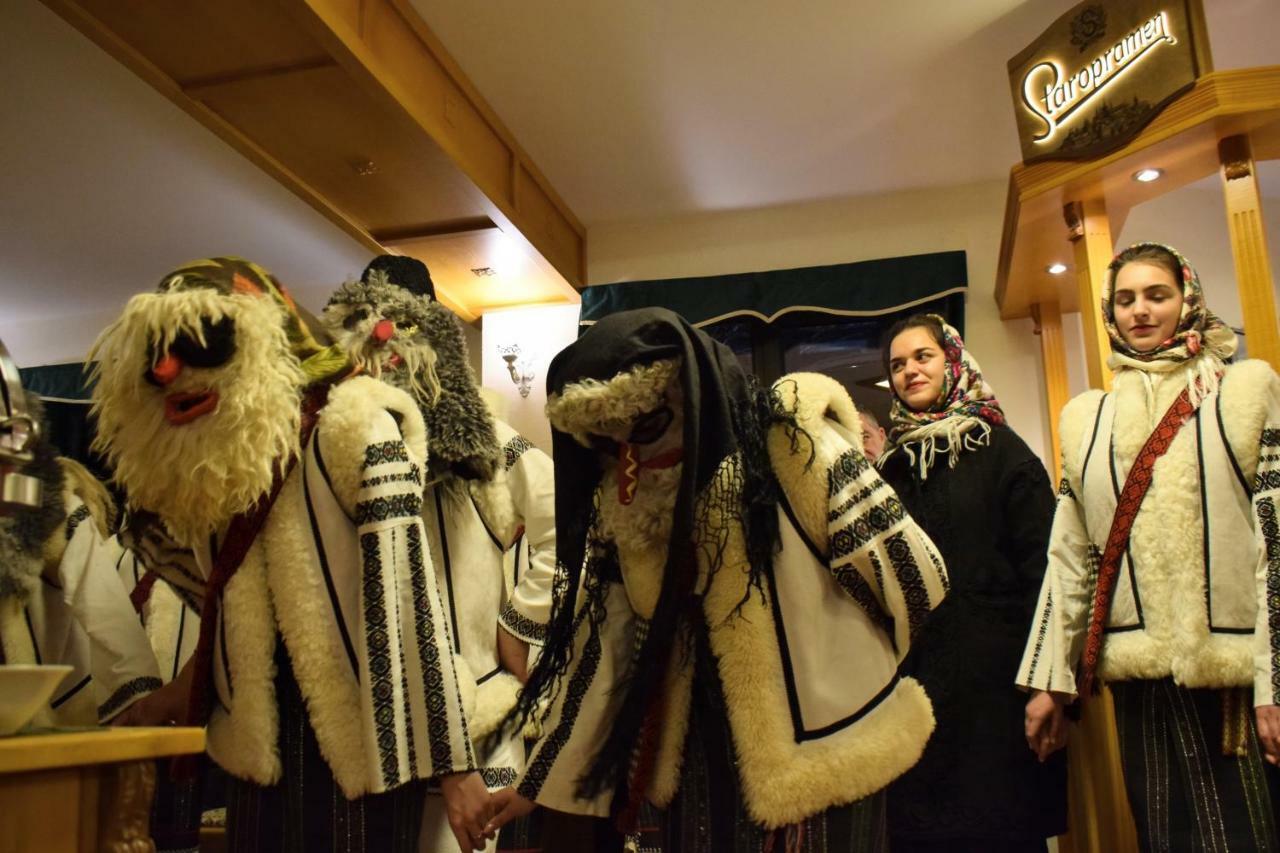 Vila Seva Vatra Dornei Εξωτερικό φωτογραφία